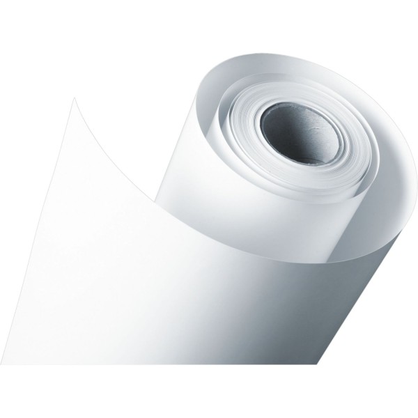 Epson Standard Proofing Paper 43,2 cm x 50 m, 205 g S 045007