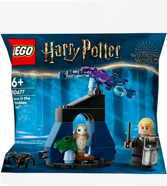 LEGO® Harry Potter™ Draco im Verbotenen Wald™ 30677